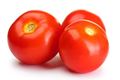 SALAD TOMATOES 6PACK