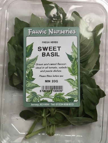 HERBS- BASIL SWEET FLAT PACK